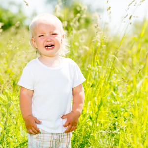 shutterstock_144185362