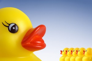 shutterstock_2942280