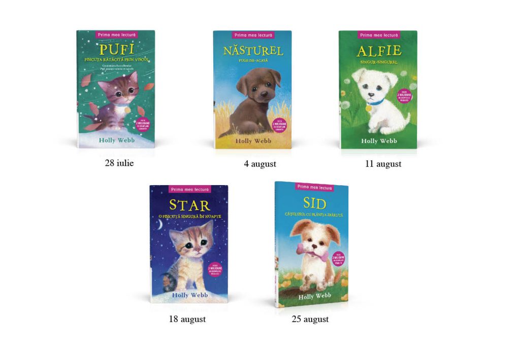 Prima mea lectura continuare(1)