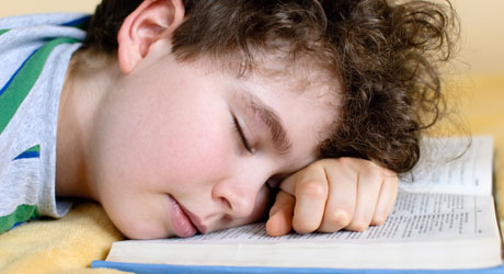 teme, scoala, gradinita, educatie, profesor