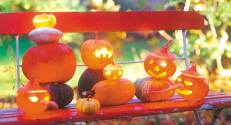 Felinare, tartacute, pepeni, creativ, timp liber