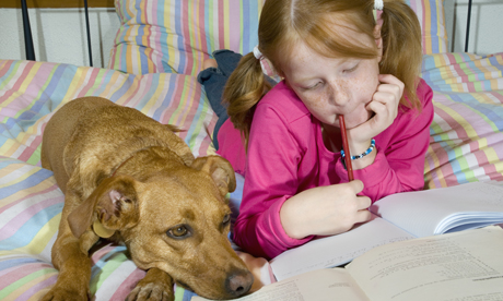 teme, scoala, profesor, invatare, lectii