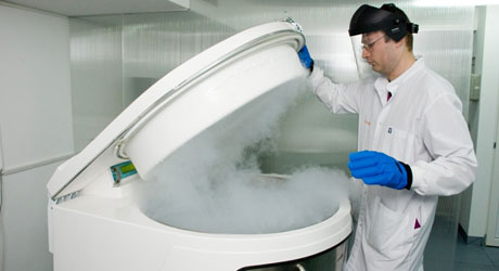 banca de celule stem