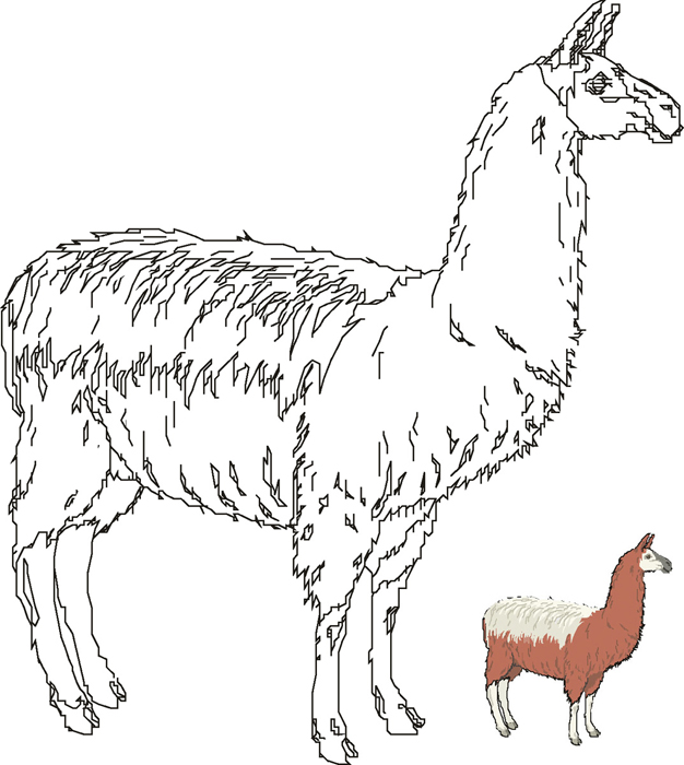 Lama