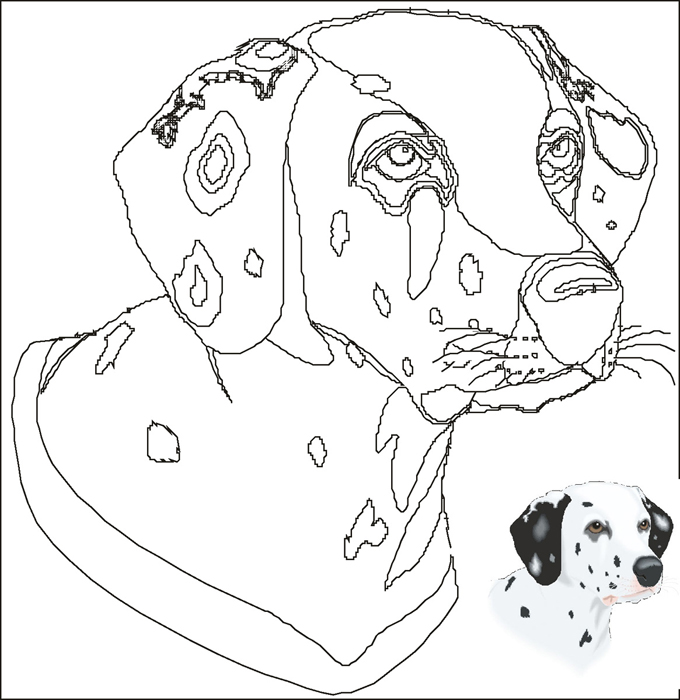 Dalmatian