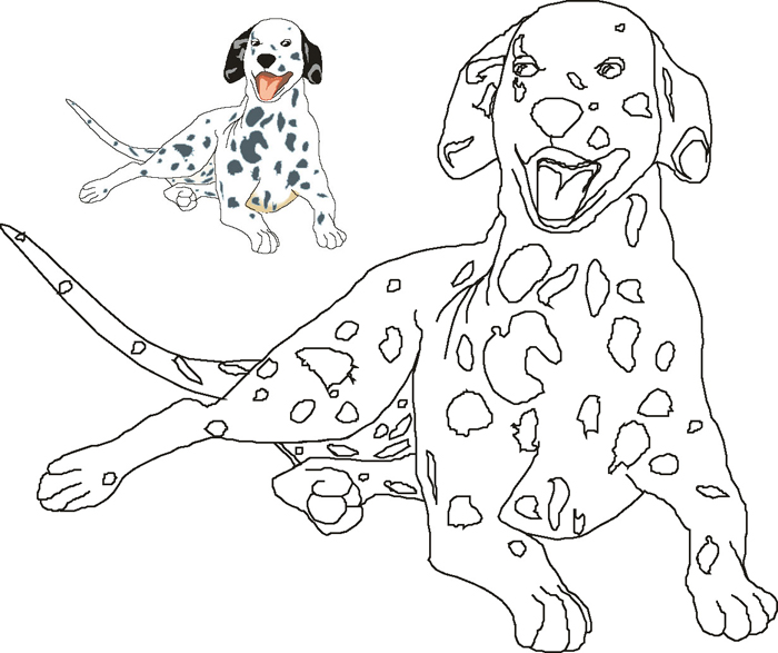 Dalmatian1