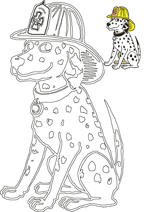 Dalmatian2